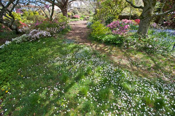 Lady Fairfax Gardens (28/02/2013 10:11:58 AM)
