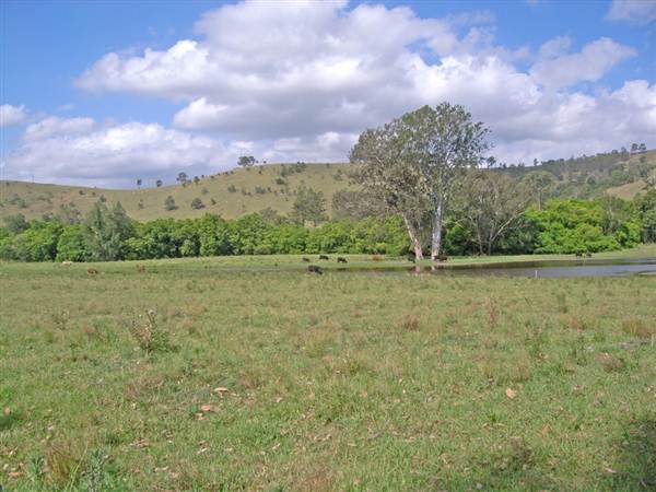 Dungog Area (28/02/2013 11:59:32 AM)