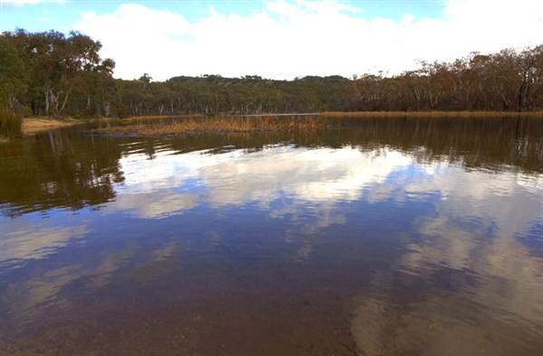 Dunns Swamp (28/02/2013 12:54:28 PM)