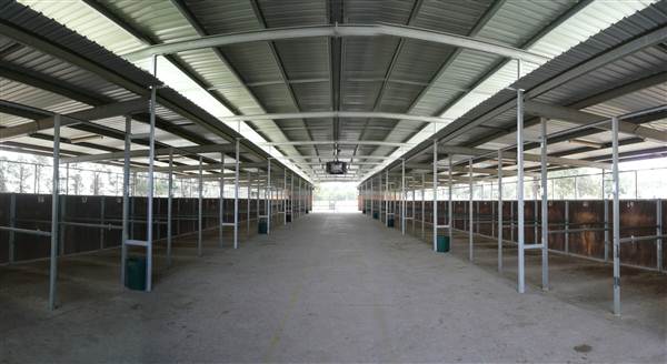 Menangle Park Paceway (28/02/2013 3:25:36 PM)