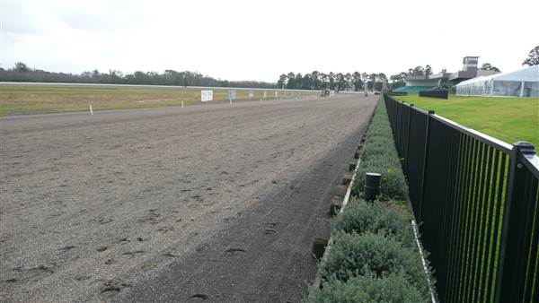 Menangle Park Paceway (28/02/2013 3:29:15 PM)