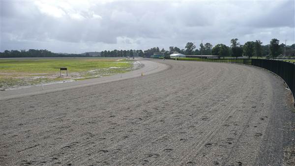 Menangle Park Paceway (28/02/2013 3:40:06 PM)