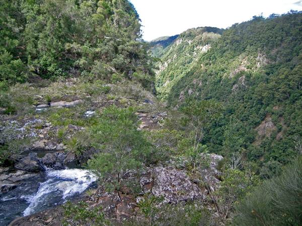 Ellenborough Falls (28/02/2013 4:35:38 PM)