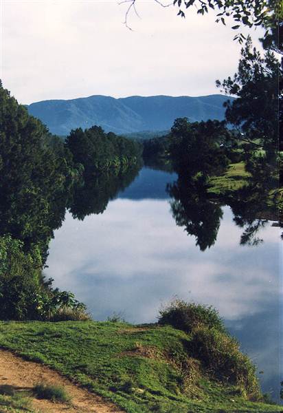 Bellinger River (28/02/2013 8:55:54 PM)