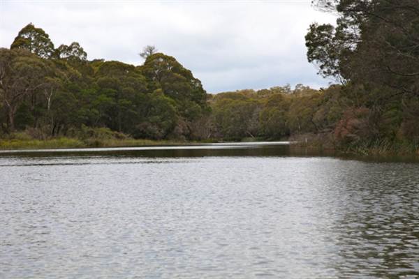 Berrima Reserve (28/02/2013 9:35:18 PM)