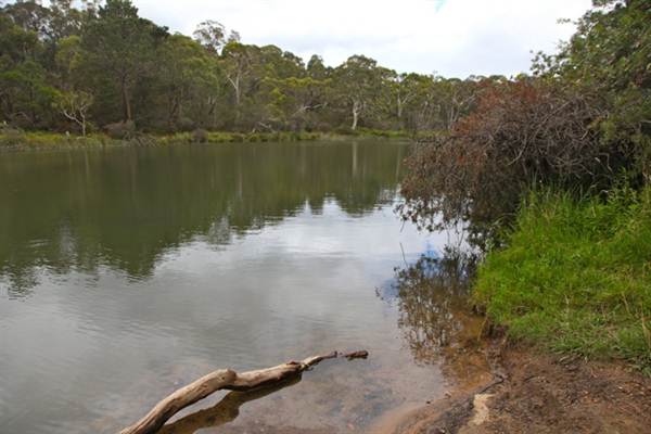 Berrima Reserve (28/02/2013 9:35:47 PM)