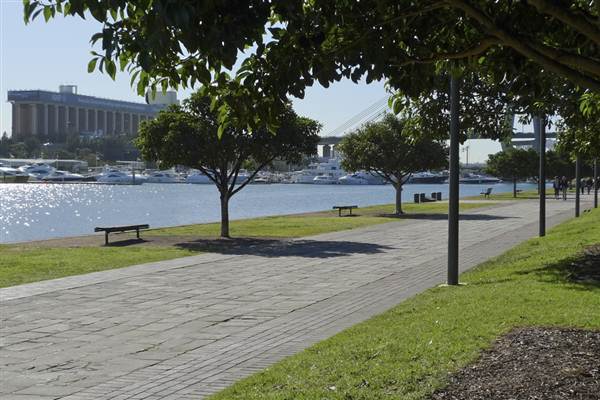 Glebe Foreshore Parks (1/03/2013 10:05:45 AM)