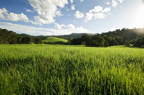 Jamberoo (1/03/2013 11:33:54 AM)