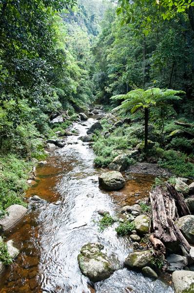 Jamberoo (1/03/2013 11:35:04 AM)