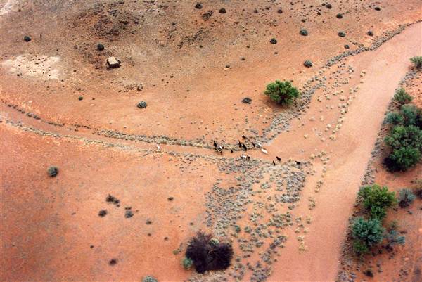 Broken Hill Area (Inc. Silverton) (1/03/2013 8:01:47 PM)