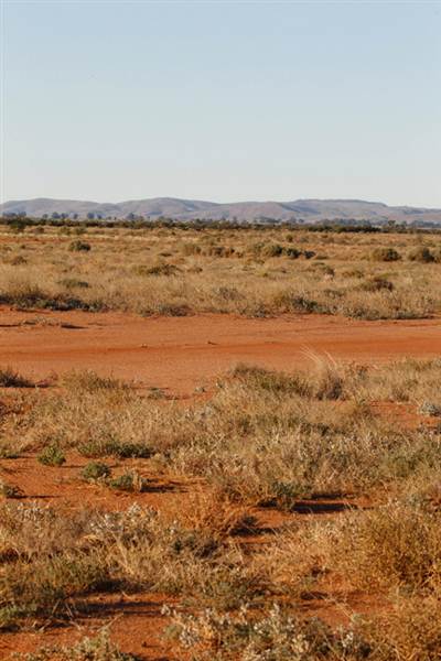 BROKEN HILL SURROUNDS 2012 (2/03/2013 2:53:35 PM)