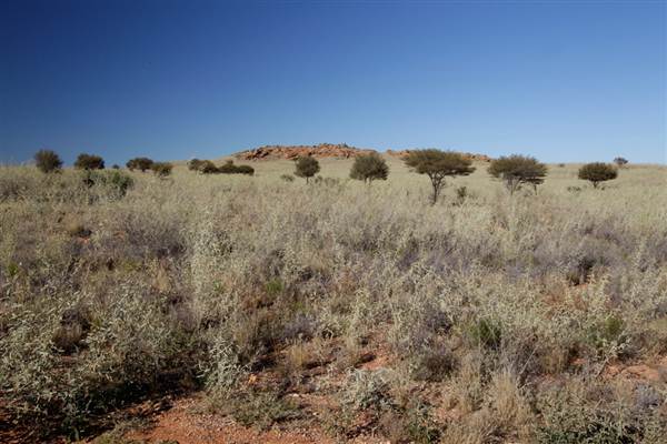 BROKEN HILL, OUTCROPS & SURROUNDS 2012 (2/03/2013 3:13:38 PM)