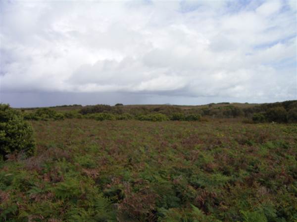 Broughton Island (2/03/2013 3:26:07 PM)