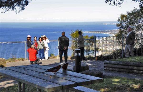Bulli Lookout (2/03/2013 8:26:18 PM)