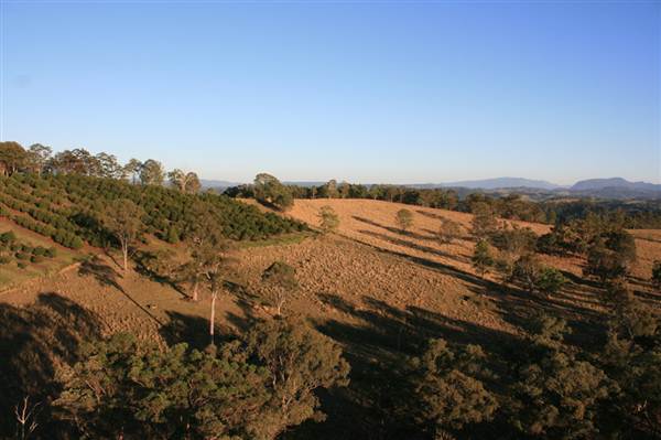 Byron Hinterland-Hot Air Balloon (2/03/2013 10:59:10 PM)