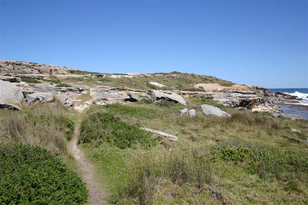 Cape Banks (3/03/2013 8:29:39 AM)