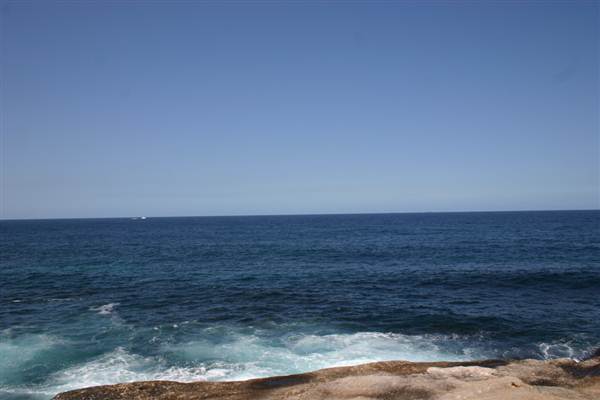 Clovelly Bay (3/03/2013 4:34:24 PM)