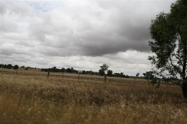 Collingullie (4/03/2013 10:37:47 AM)