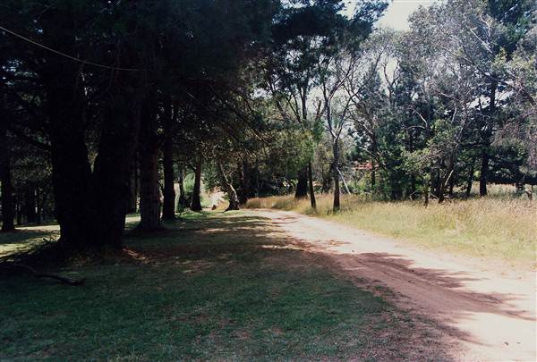 Currango Homestead (4/03/2013 12:12:22 PM)