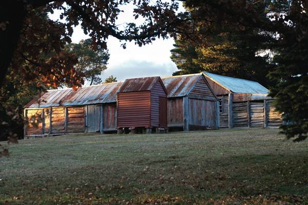 Currango Homestead (4/03/2013 12:14:05 PM)