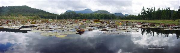 Northern Rivers Region (4/03/2013 1:54:20 PM)