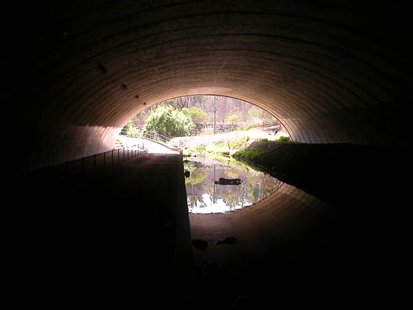 Underpass - Cheltenham (4/03/2013 2:33:19 PM)