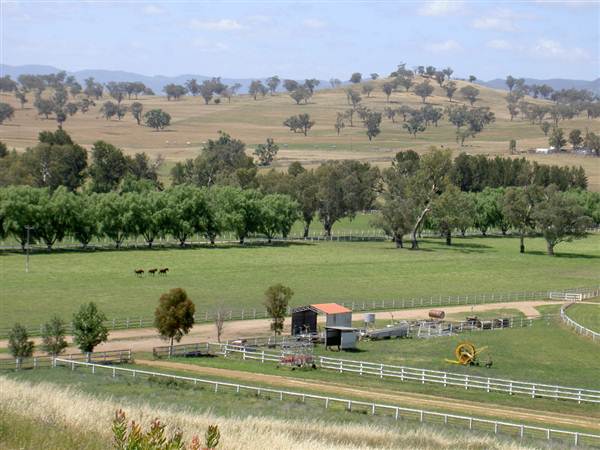 Guntawang Thoroughbred Stud (5/03/2013 12:25:02 PM)