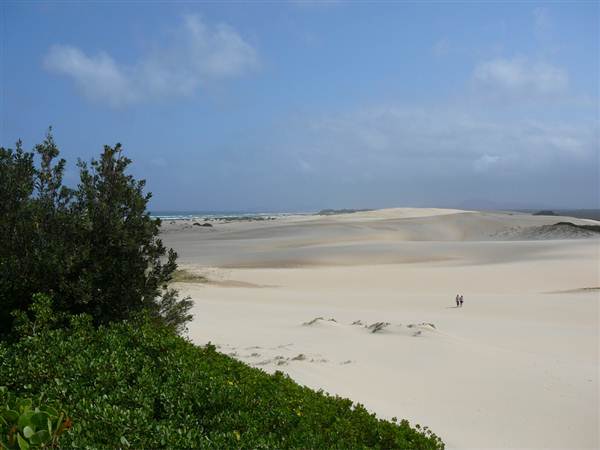 Killick Beach & Sand Dunes - Hat Head National Park (5/03/2013 7:29:34 PM)
