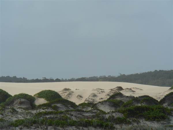 Killick Beach & Sand Dunes - Hat Head National Park (5/03/2013 7:29:58 PM)