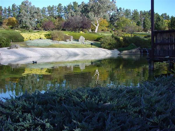 Japanese Gardens Cowra (5/03/2013 9:59:30 PM)