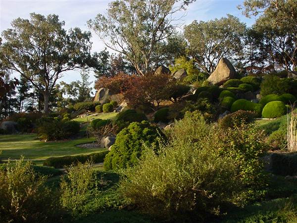 Japanese Gardens Cowra (5/03/2013 10:00:36 PM)