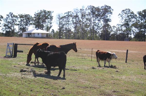 John Scott Kundabung Rodeo Grounds / Stables (6/03/2013 11:29:30 AM)