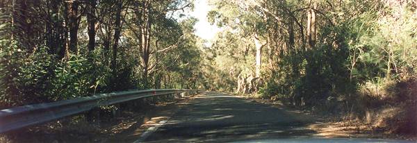 Ku-ring-gai Chase National Park (6/03/2013 11:30:59 AM)