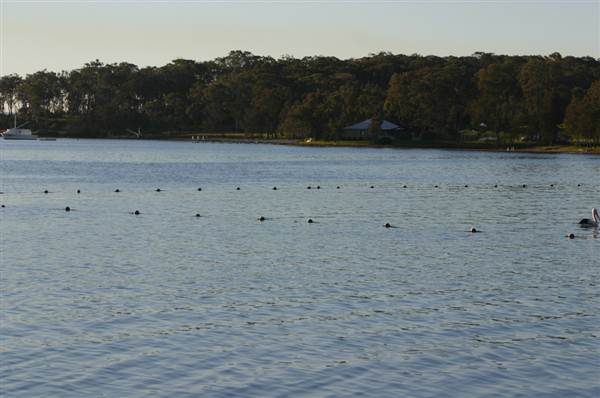 Lake Macquarie (6/03/2013 11:52:38 AM)