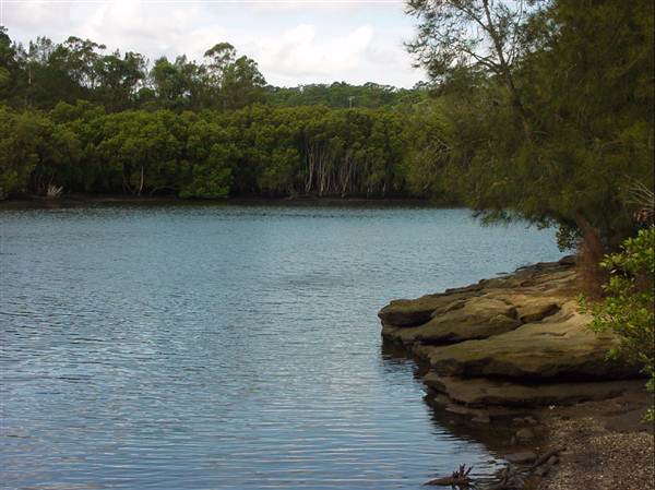 Lane Cove River (6/03/2013 12:07:53 PM)