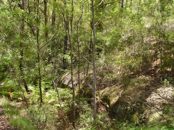 Lane Cove National Park (6/03/2013 12:08:29 PM)