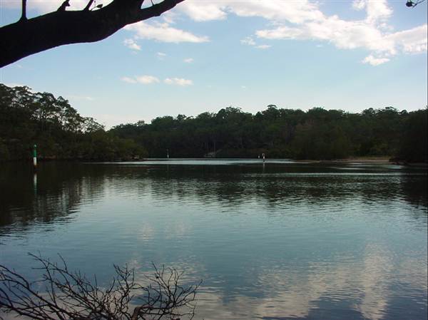 Lane Cove River (6/03/2013 12:08:59 PM)