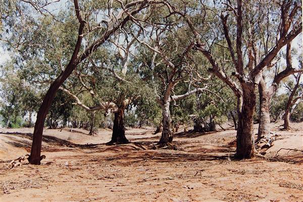 Langwell Property (6/03/2013 12:11:10 PM)