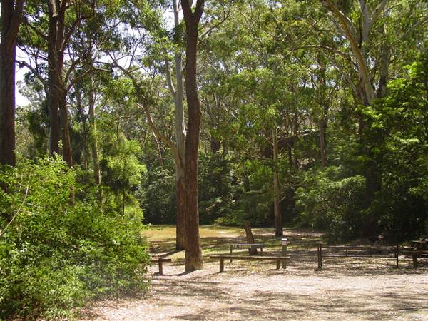 Lane Cove National Park (6/03/2013 12:12:21 PM)