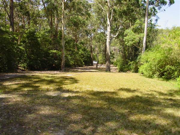 Lane Cove National Park (6/03/2013 12:13:25 PM)