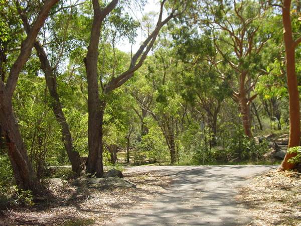 Lane Cove National Park (6/03/2013 12:14:01 PM)
