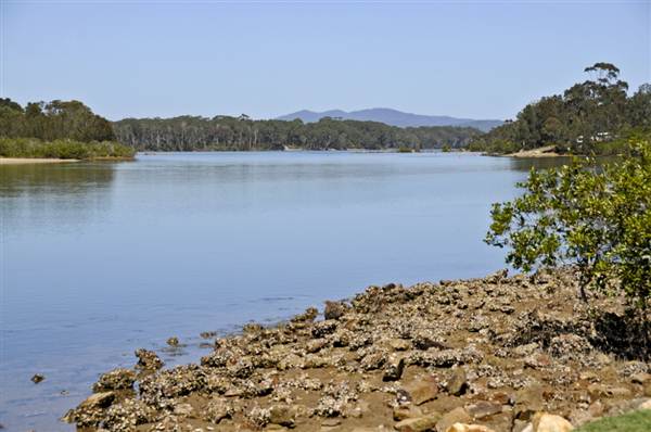 Nambucca Heads (6/03/2013 12:21:41 PM)