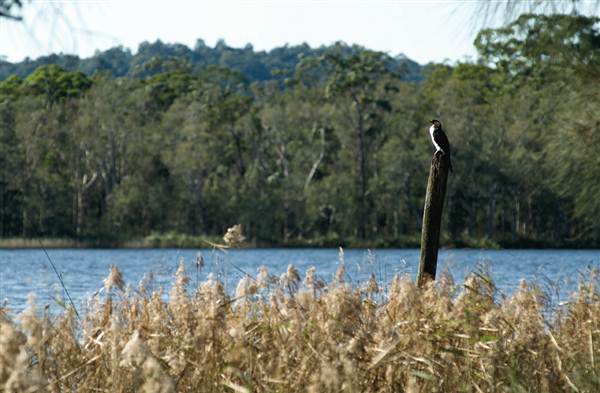 Myall Lakes National Park (6/03/2013 3:29:05 PM)