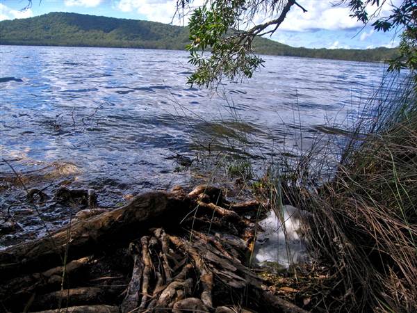 Myall Lakes National Park (6/03/2013 3:31:26 PM)