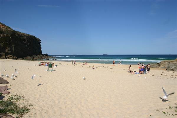Redhead Beach (6/03/2013 4:13:54 PM)