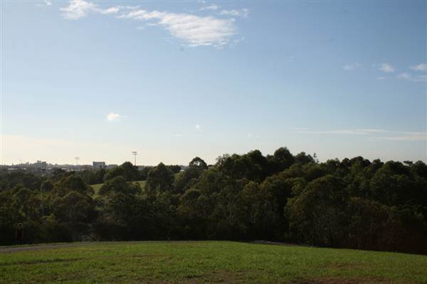 Sydney Park (6/03/2013 4:43:59 PM)