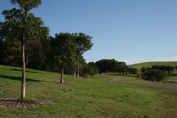 Sydney Park (6/03/2013 4:46:16 PM)