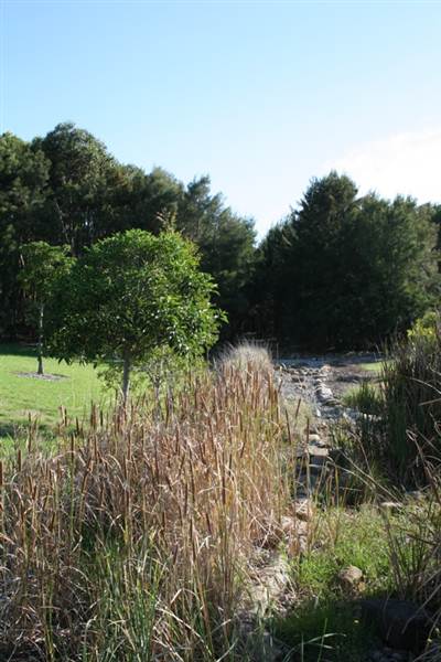 Sydney Park (6/03/2013 4:46:47 PM)