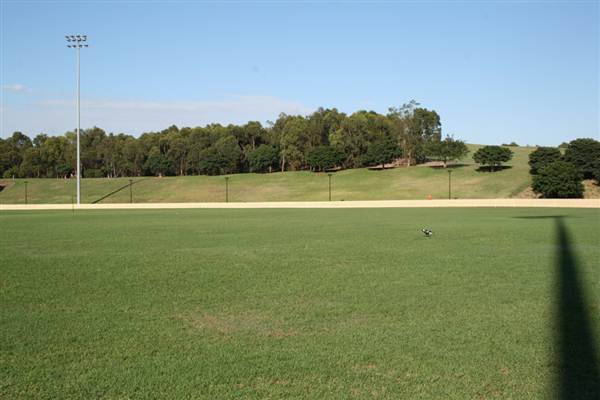 Sydney Park (6/03/2013 4:47:13 PM)