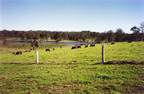 Tocal Historic Homestead (6/03/2013 5:17:02 PM)